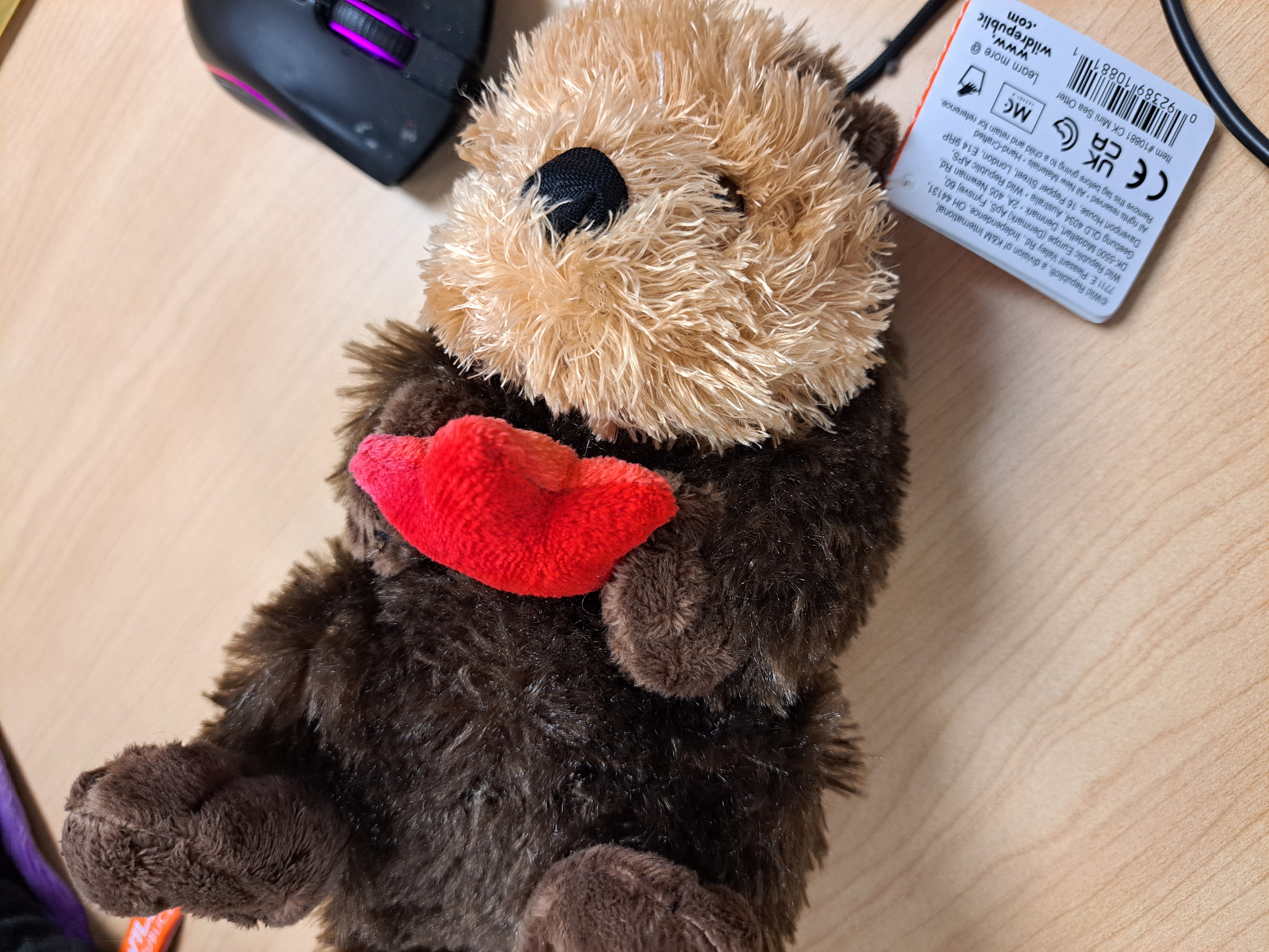 petit toutou loutre avec coeur